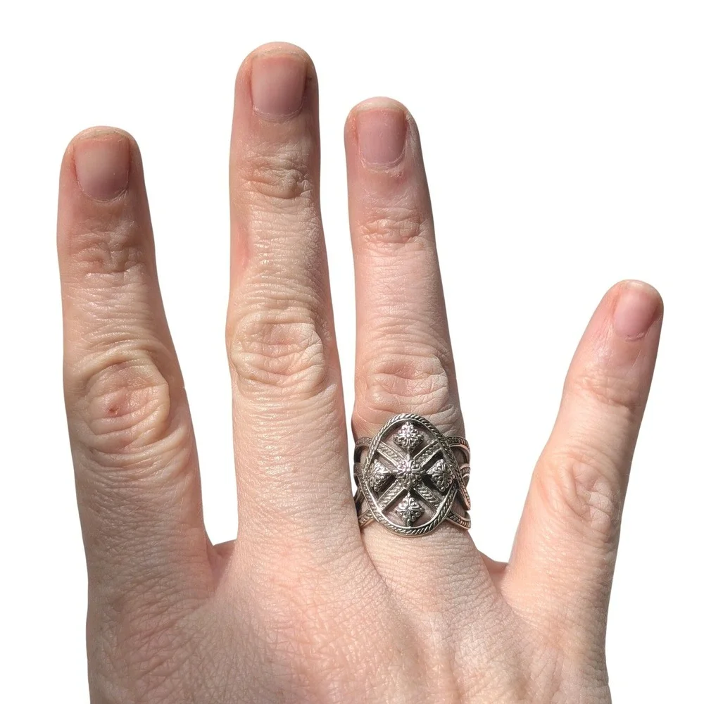 Sarda intricately designed